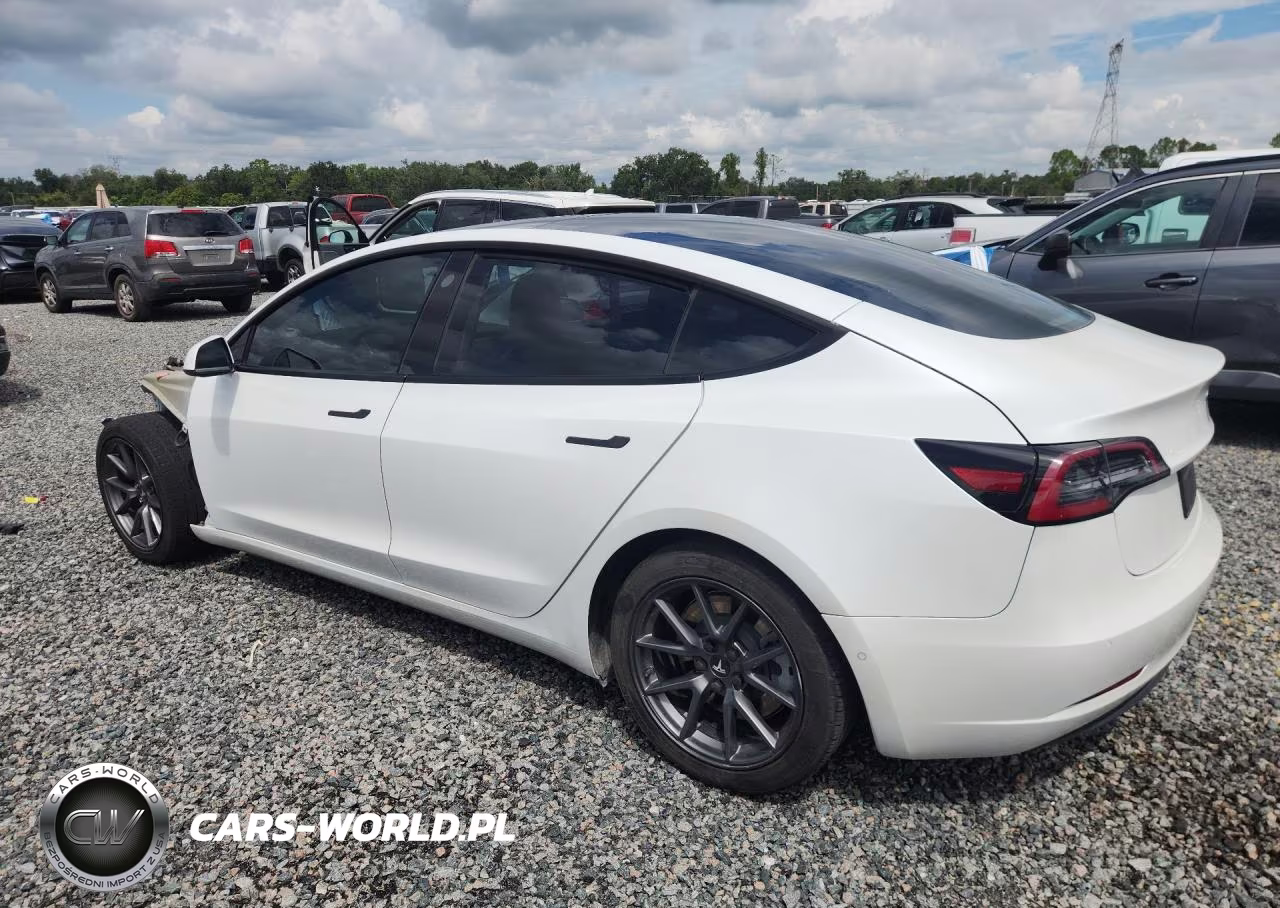 2021 Tesla Model 3 VIN:5YJ3E1EA2MF086781 - 2