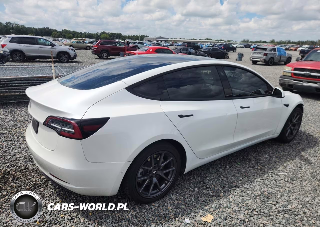 2021 Tesla Model 3 VIN:5YJ3E1EA2MF086781 - 3