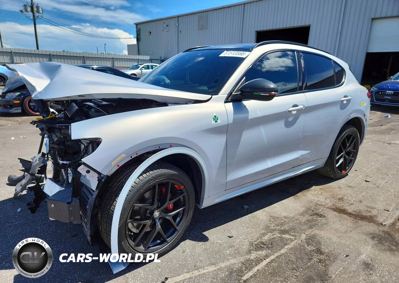 2020 Alfa Romeo Stelvio VIN:ZASPAJAN9L7C98658 - 1