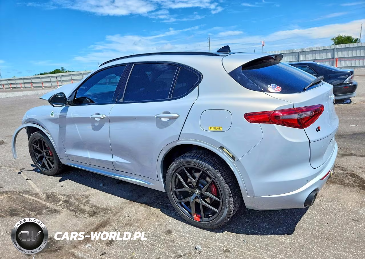 2020 Alfa Romeo Stelvio VIN:ZASPAJAN9L7C98658 - 2
