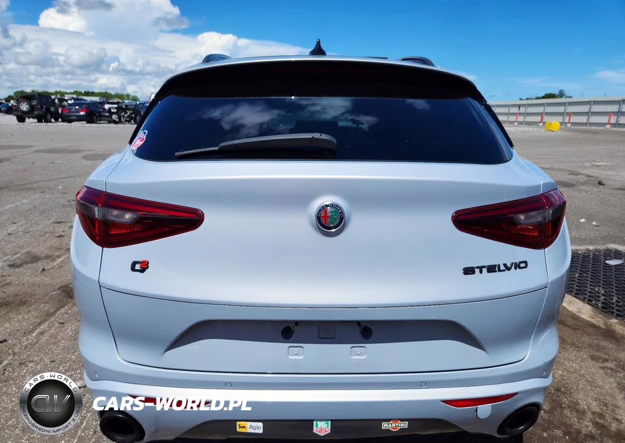 2020 Alfa Romeo Stelvio VIN:ZASPAJAN9L7C98658 - 6