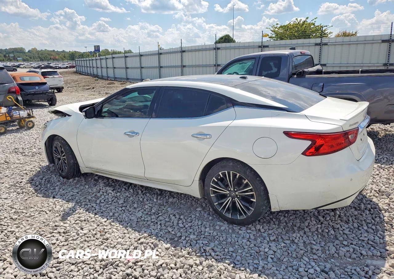 2017 Nissan Maxima Platinum VIN:1N4AA6AP1HC439773 - 2