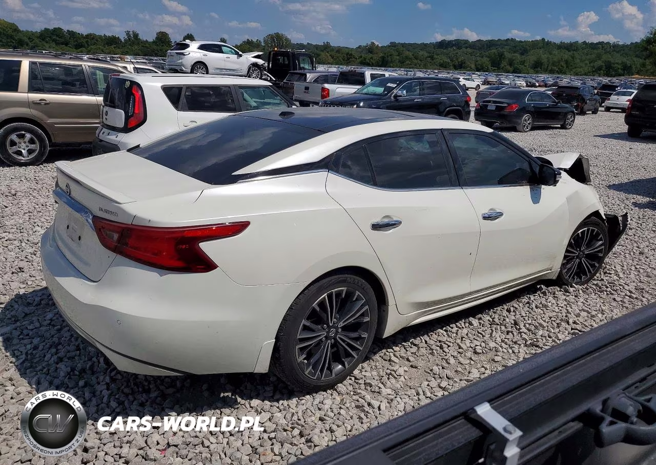 2017 Nissan Maxima Platinum VIN:1N4AA6AP1HC439773 - 3