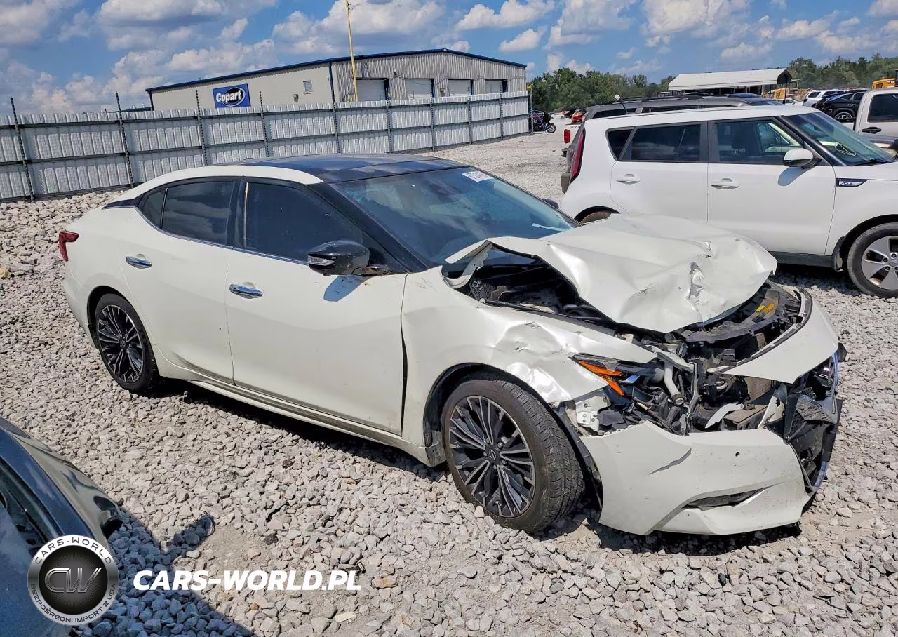 2017 Nissan Maxima Platinum VIN:1N4AA6AP1HC439773 - 4