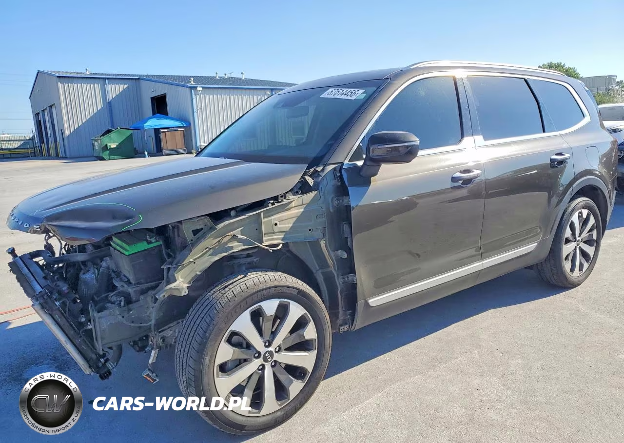 2020 Kia Telluride S VIN:5XYP64HC0LG020508 - 1