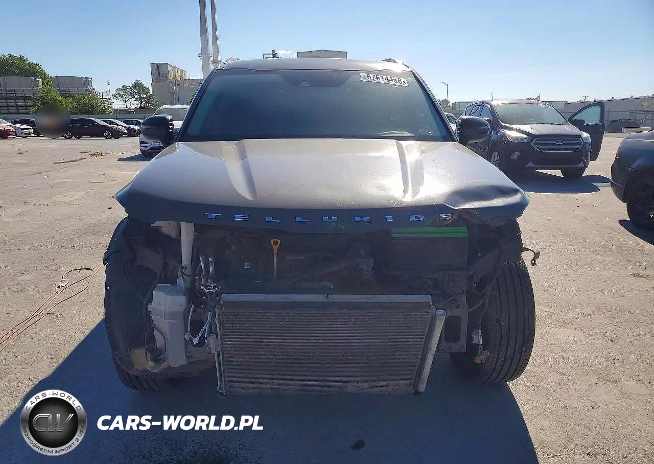 2020 Kia Telluride S VIN:5XYP64HC0LG020508 - 5
