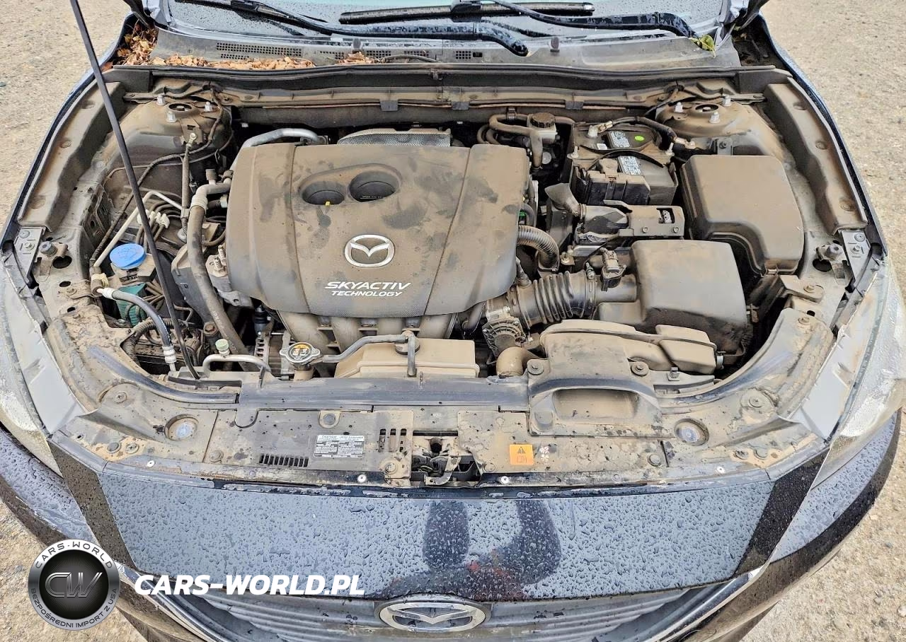 2014 Mazda 3 Sport VIN:JM1BM1U73E1198469 - 11