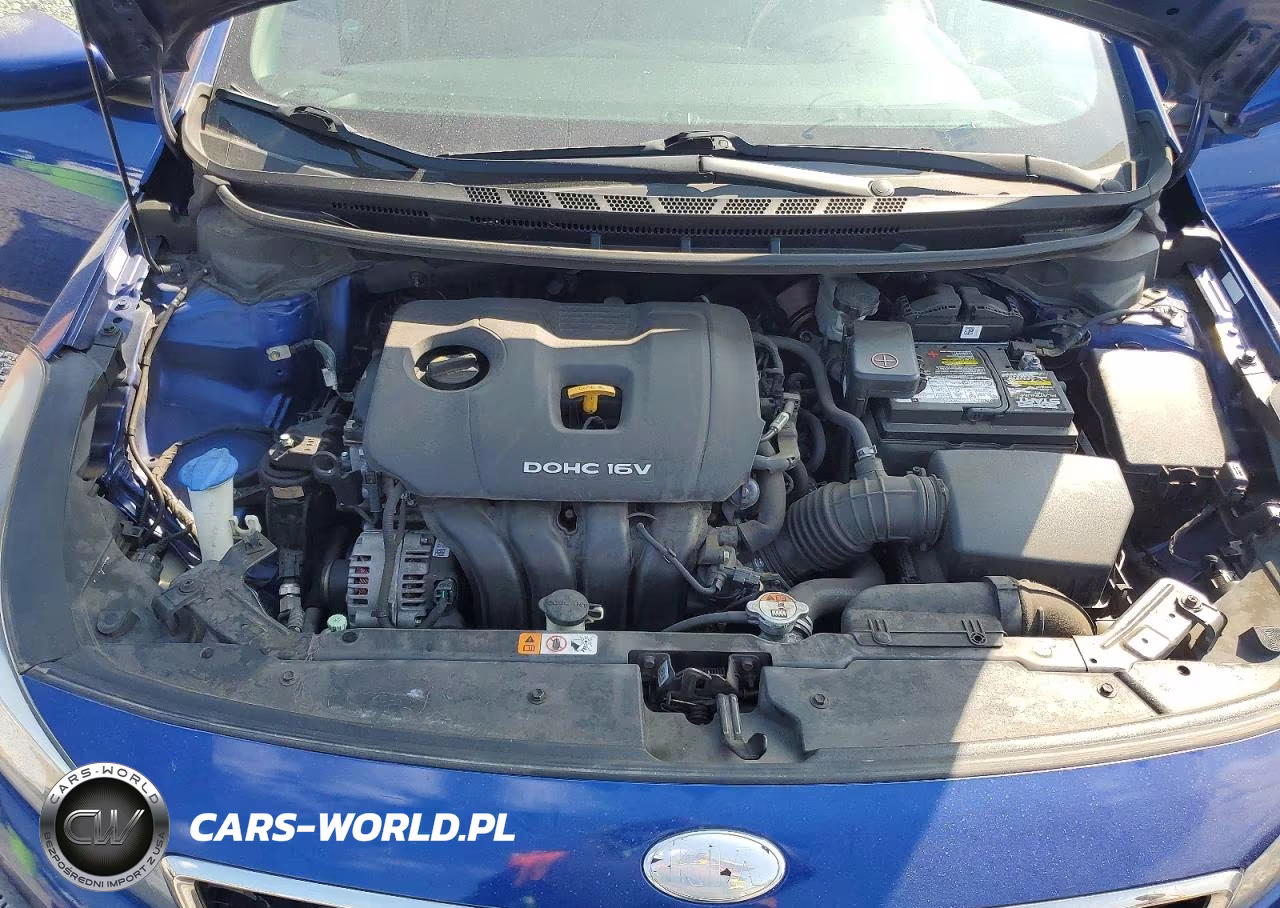 2017 Kia Forte Lx VIN:3KPFK4A79HE088363 - 11