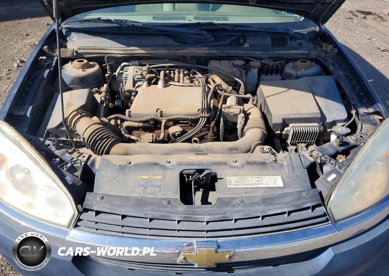 2004 Chevrolet Malibu VIN:1G1ZS52874F182468 - 11