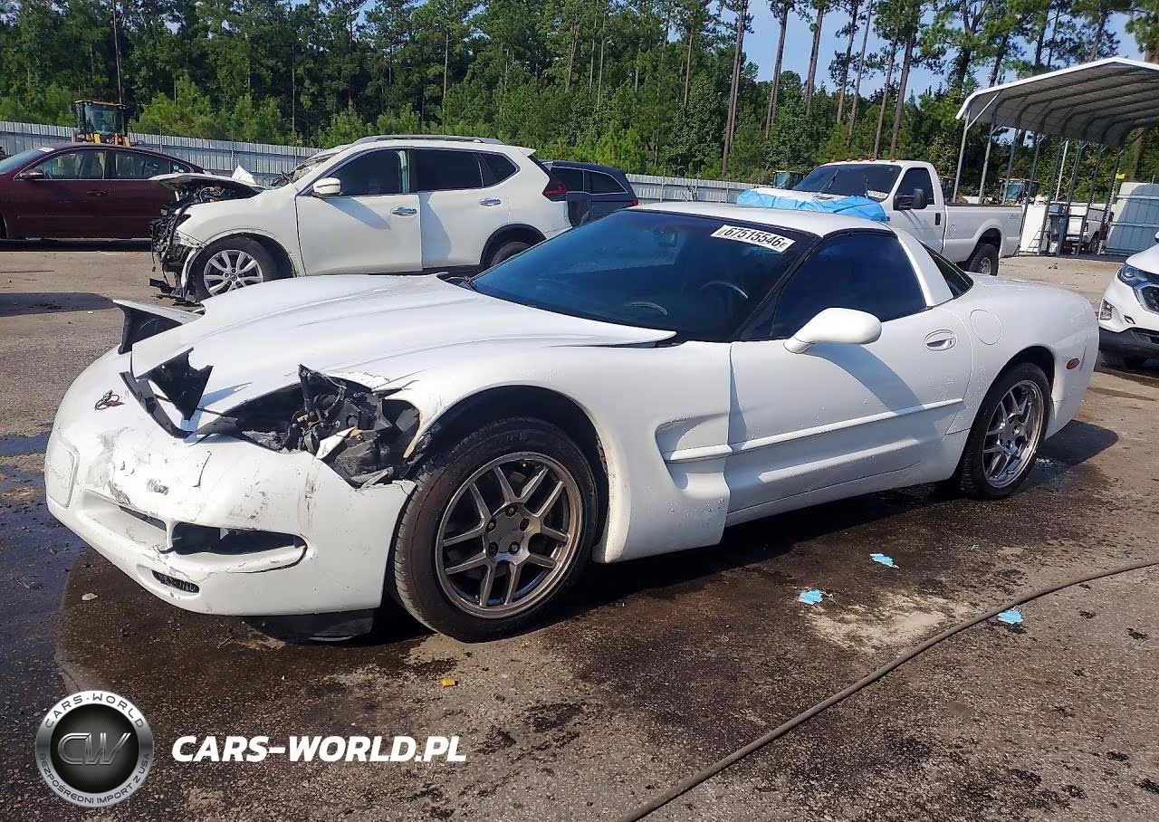 2004 Chevrolet Corvette VIN:1G1YY22G745131557 - 1