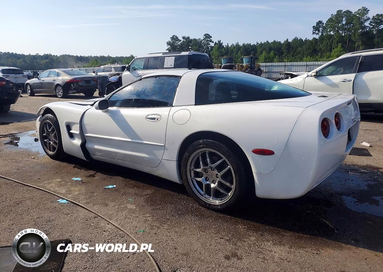 2004 Chevrolet Corvette VIN:1G1YY22G745131557 - 2