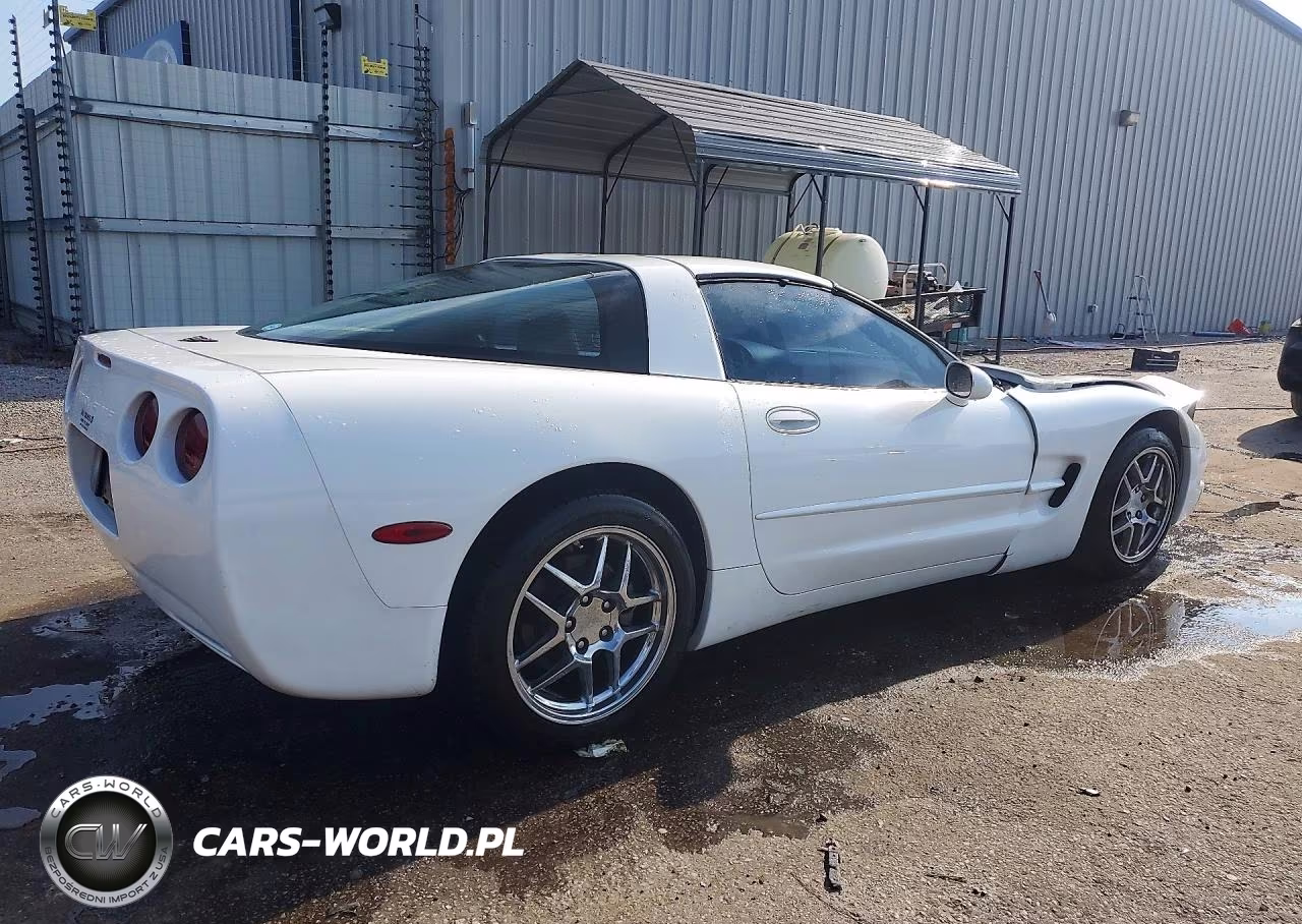 2004 Chevrolet Corvette VIN:1G1YY22G745131557 - 3