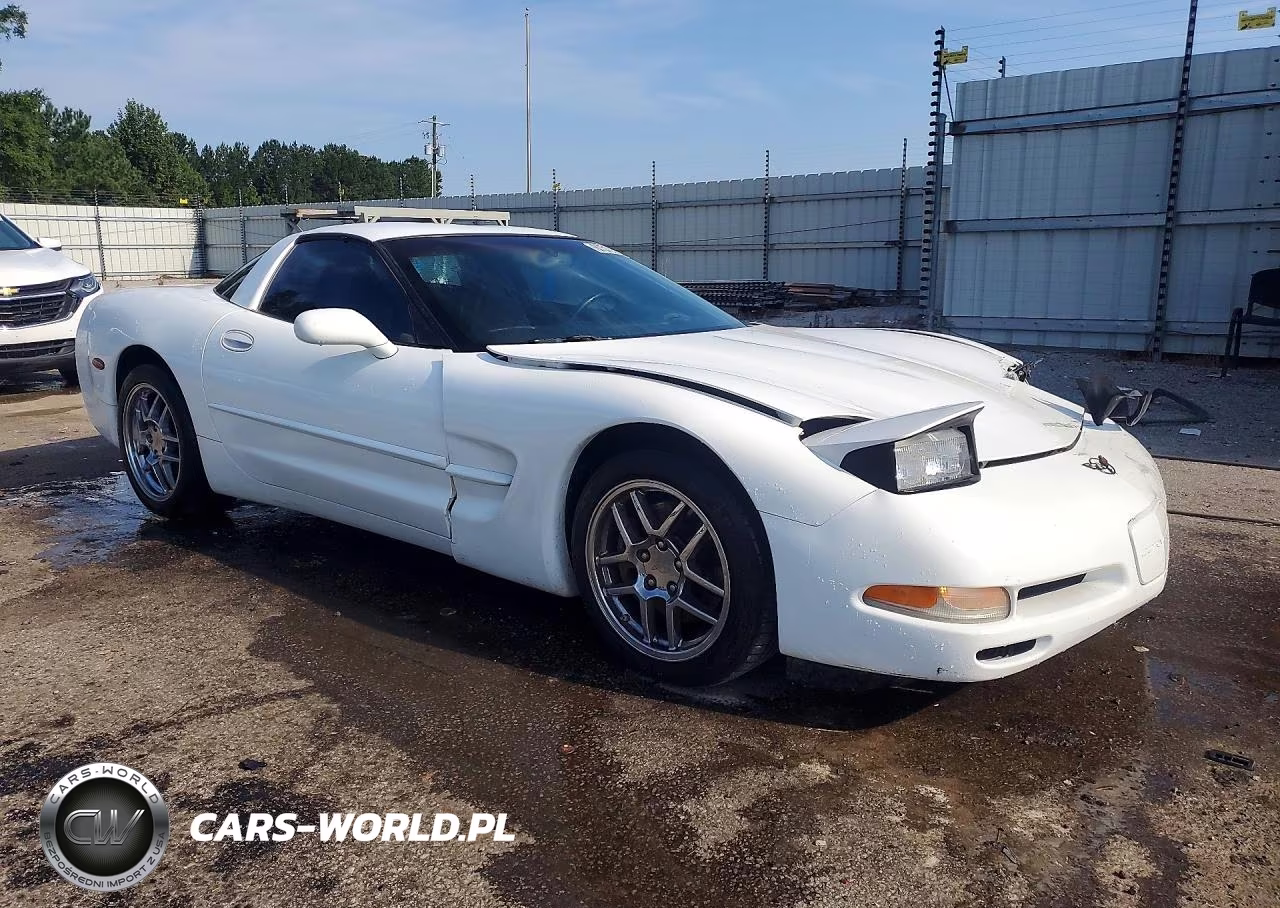 2004 Chevrolet Corvette VIN:1G1YY22G745131557 - 4