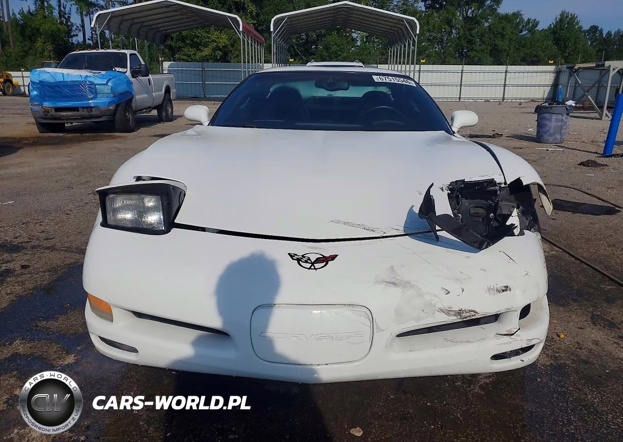 2004 Chevrolet Corvette VIN:1G1YY22G745131557 - 5