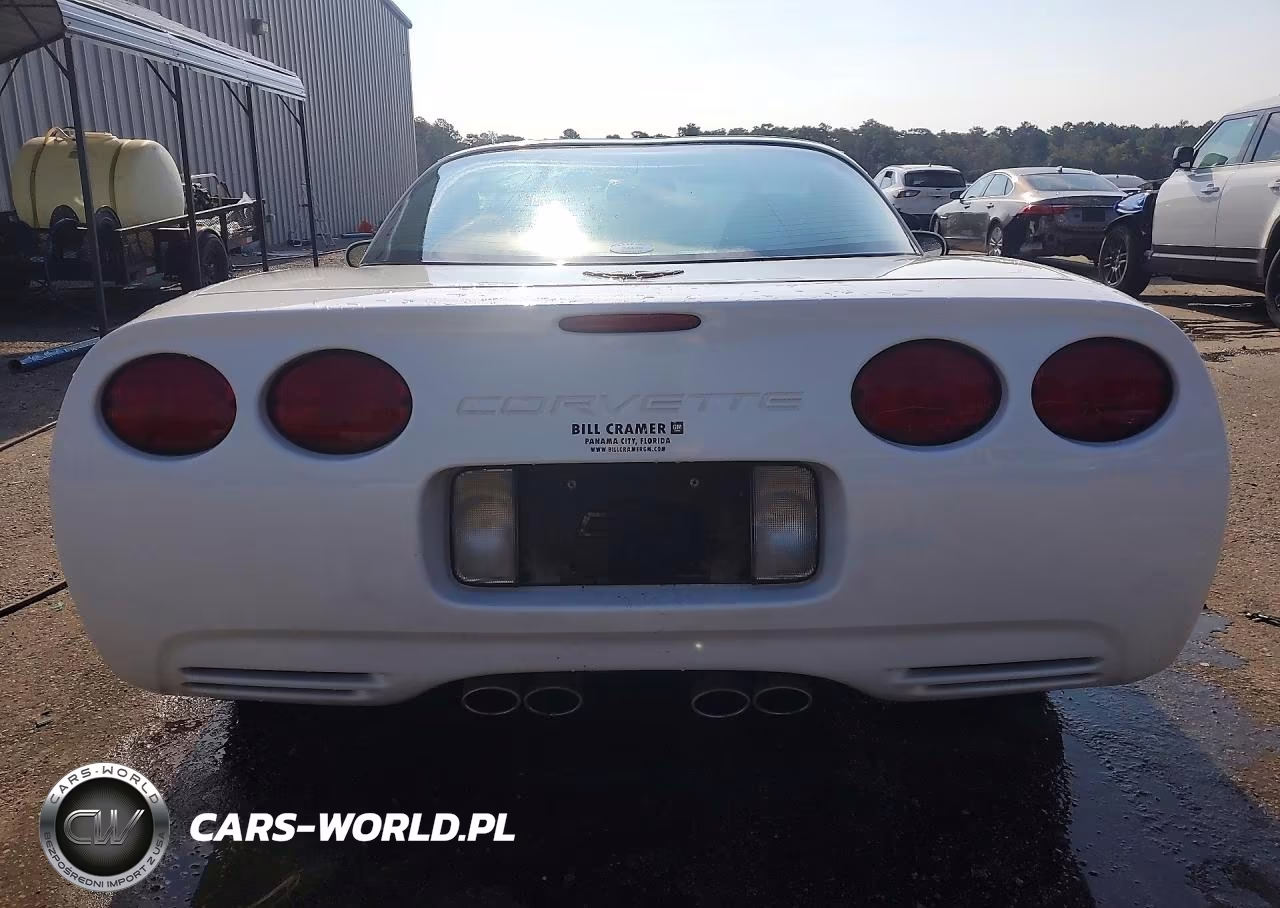 2004 Chevrolet Corvette VIN:1G1YY22G745131557 - 6