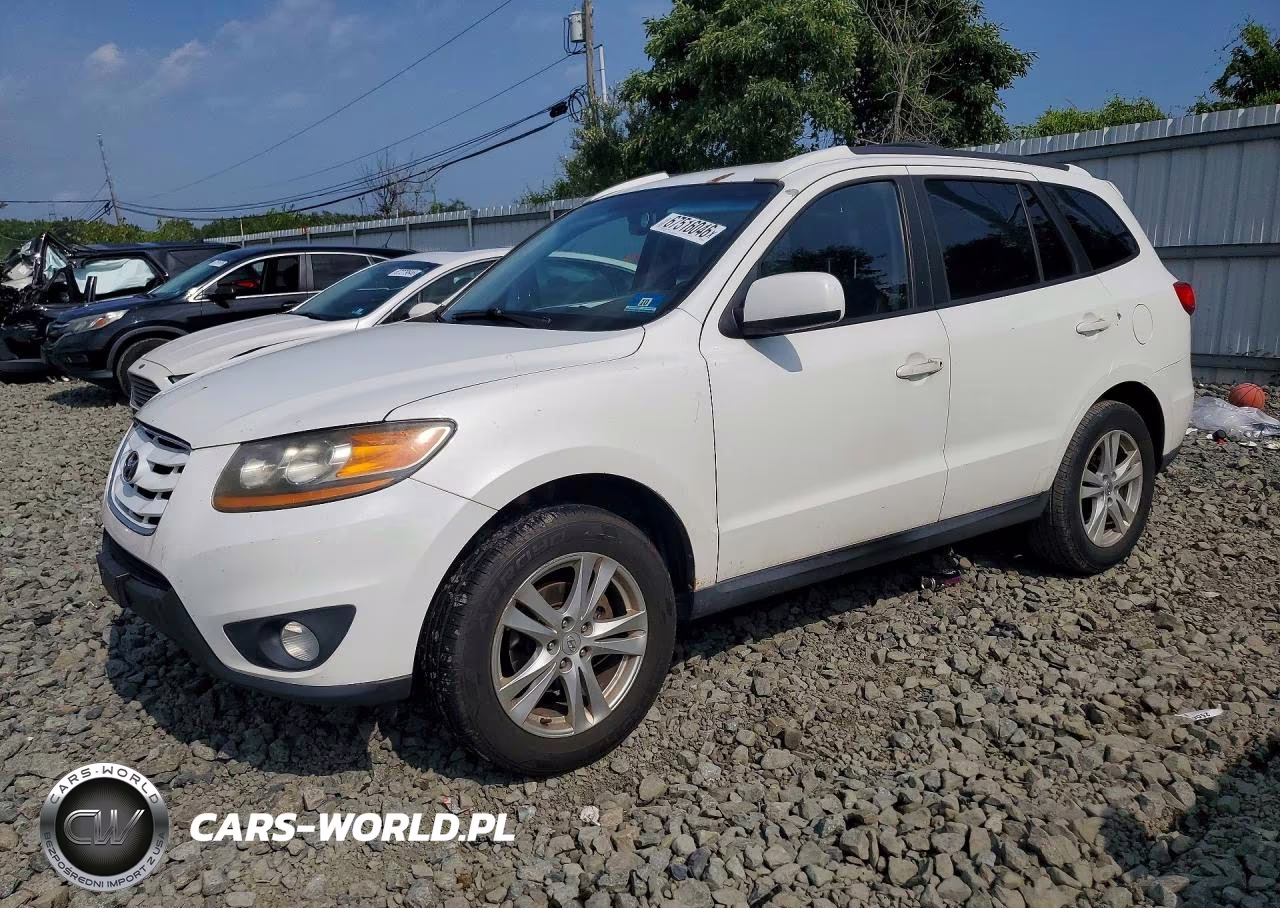 2010 Hyundai Santa Fe Se