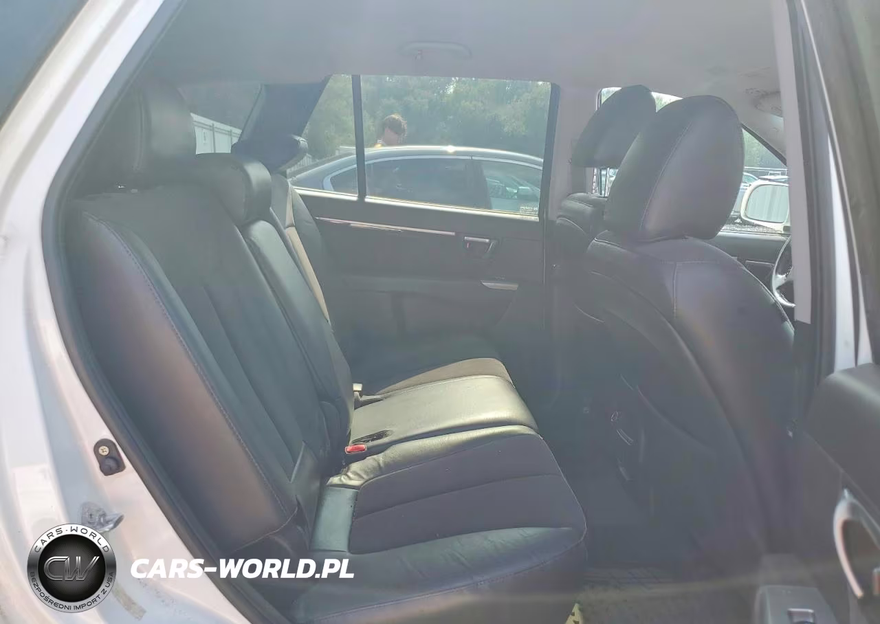 2010 Hyundai Santa Fe Se VIN:5NMSHDAG3AH386998 - 11