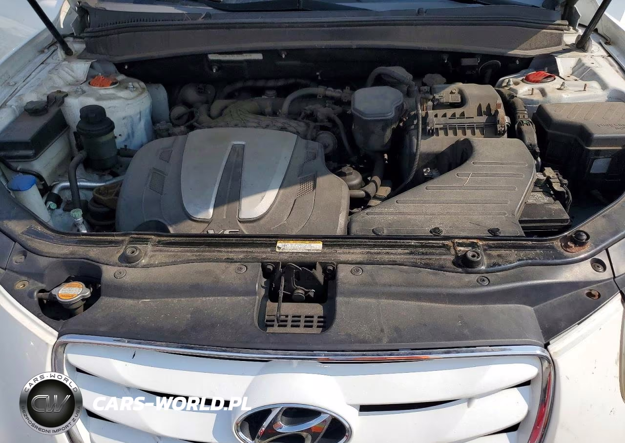 2010 Hyundai Santa Fe Se VIN:5NMSHDAG3AH386998 - 12