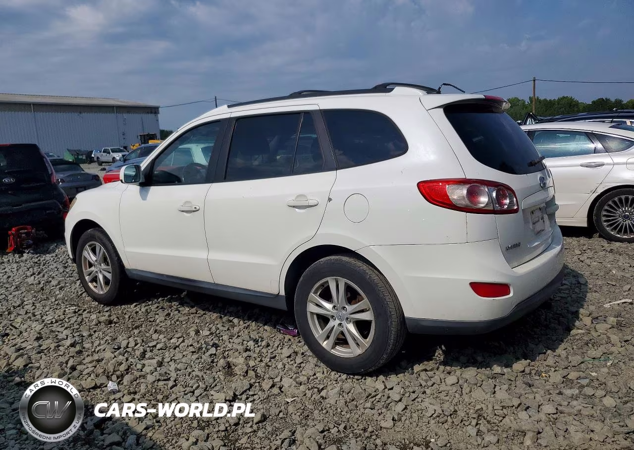 2010 Hyundai Santa Fe Se VIN:5NMSHDAG3AH386998 - 2