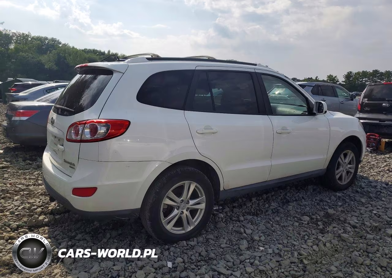2010 Hyundai Santa Fe Se VIN:5NMSHDAG3AH386998 - 3