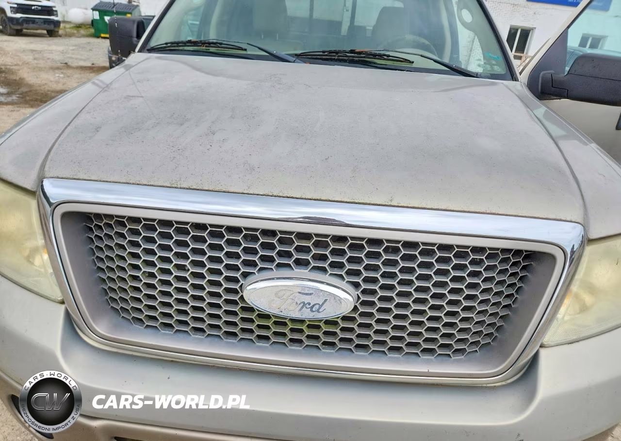 2006 Ford F150 Supercrew VIN:1FTPW14566FB60155 - 11