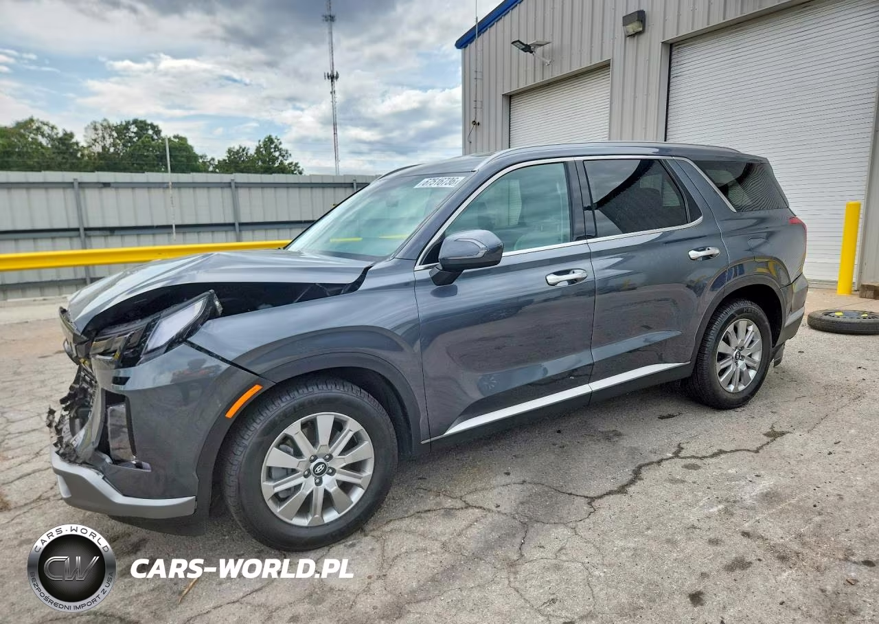 2025 Hyundai Palisade Sel VIN:KM8R2DGE9SU846046 - 1