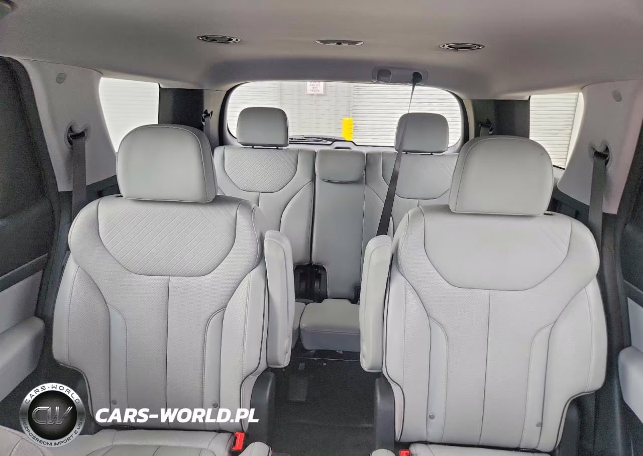 2025 Hyundai Palisade Sel VIN:KM8R2DGE9SU846046 - 10