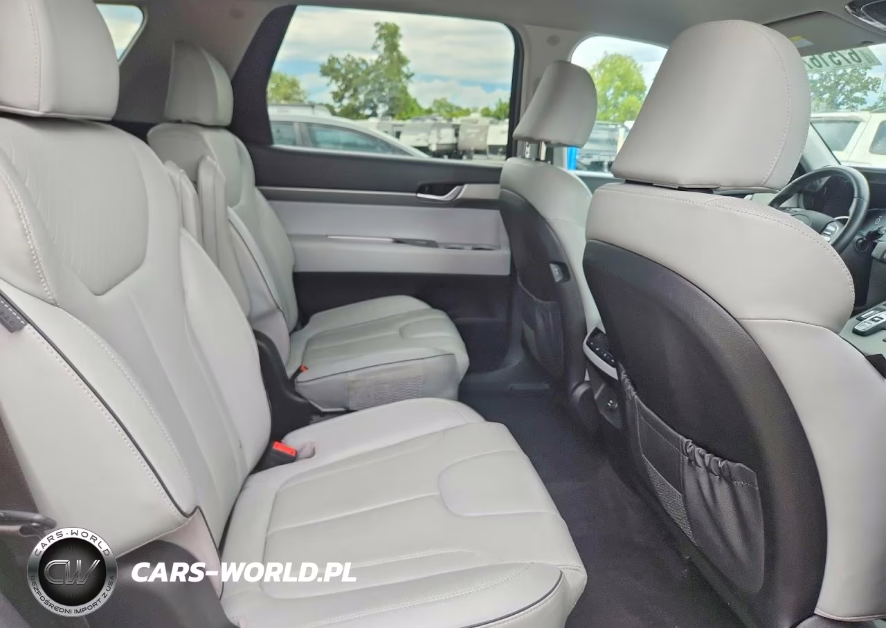 2025 Hyundai Palisade Sel VIN:KM8R2DGE9SU846046 - 11