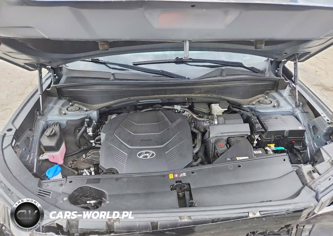 2025 Hyundai Palisade Sel VIN:KM8R2DGE9SU846046 - 12
