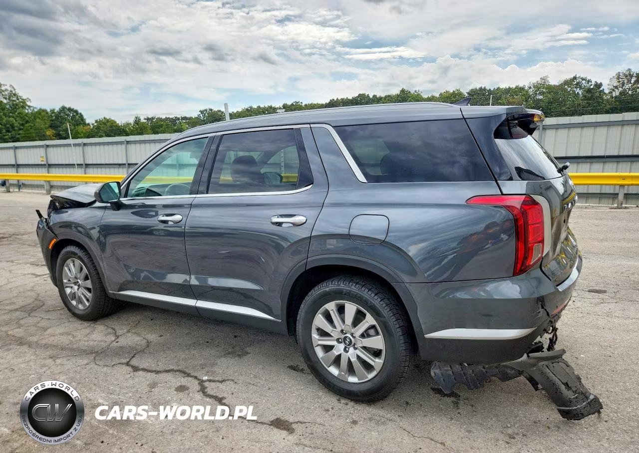 2025 Hyundai Palisade Sel VIN:KM8R2DGE9SU846046 - 2