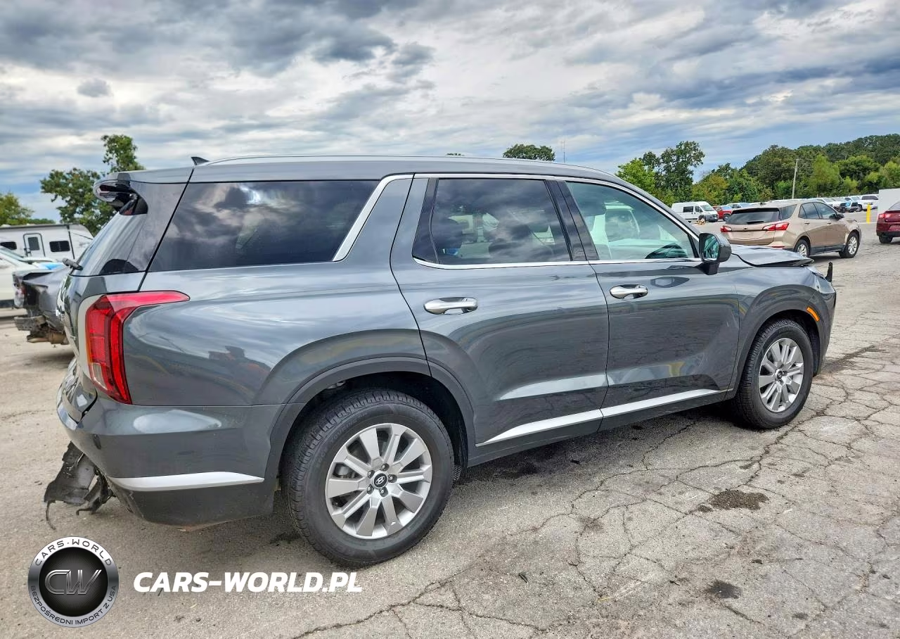 2025 Hyundai Palisade Sel VIN:KM8R2DGE9SU846046 - 3