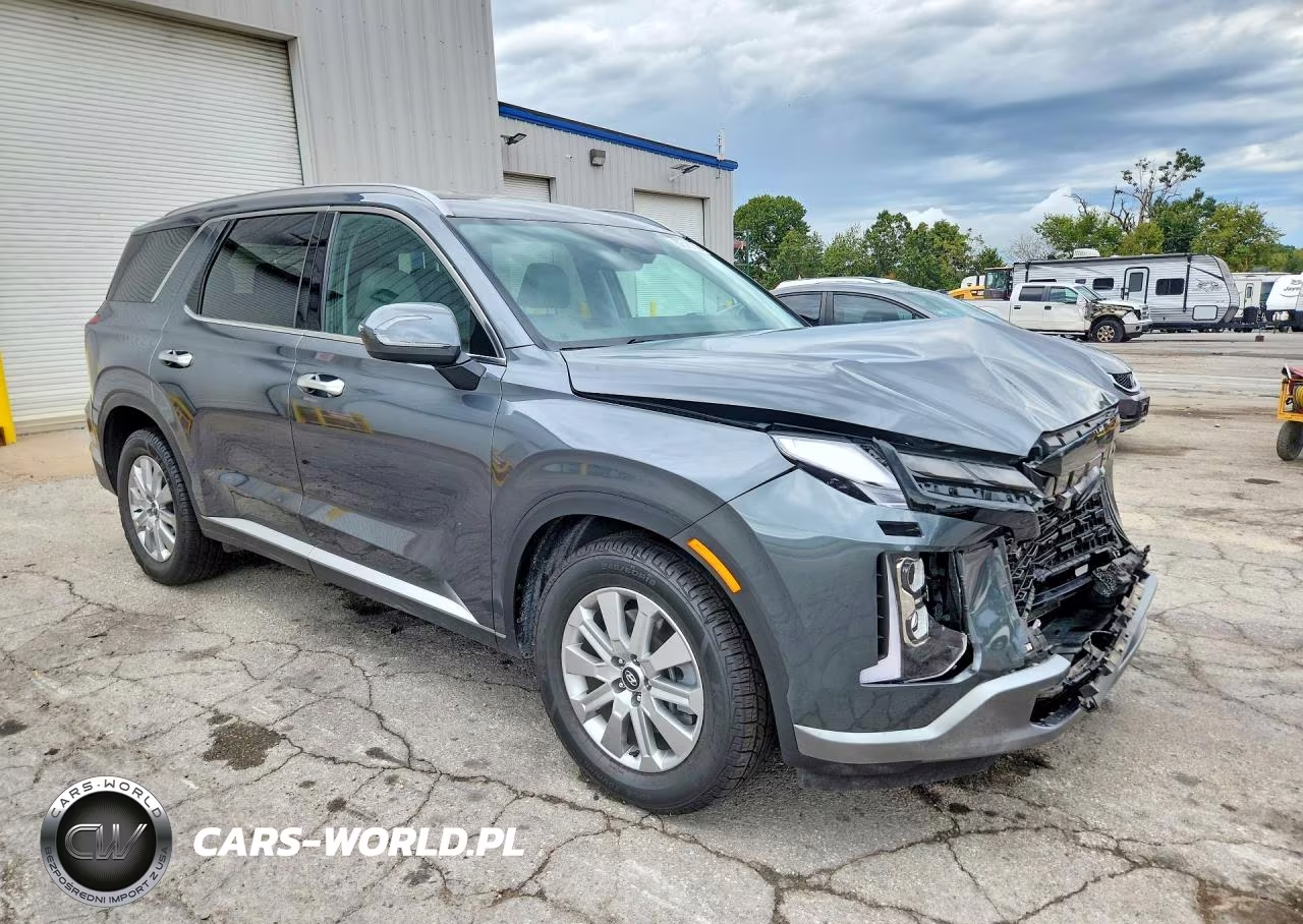 2025 Hyundai Palisade Sel VIN:KM8R2DGE9SU846046 - 4