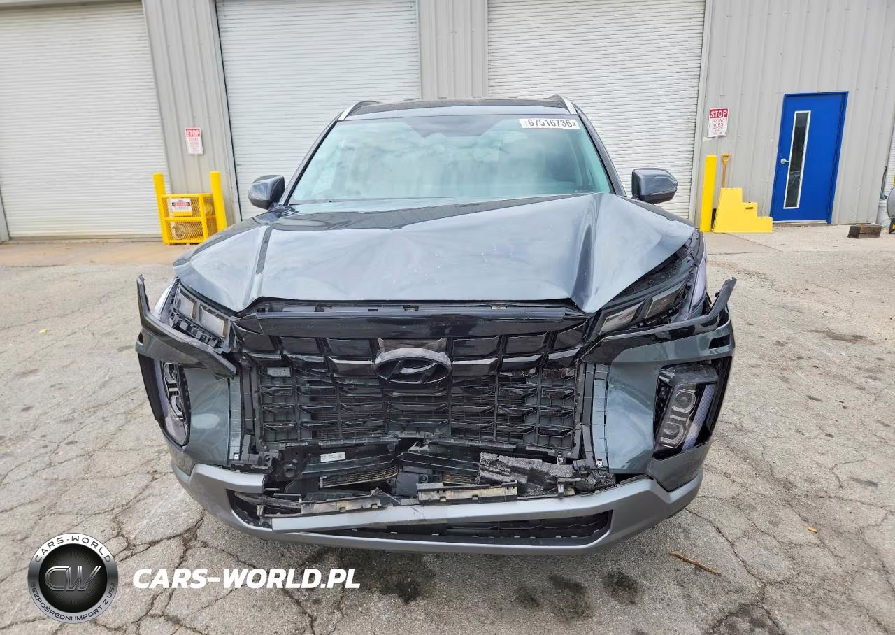 2025 Hyundai Palisade Sel VIN:KM8R2DGE9SU846046 - 5