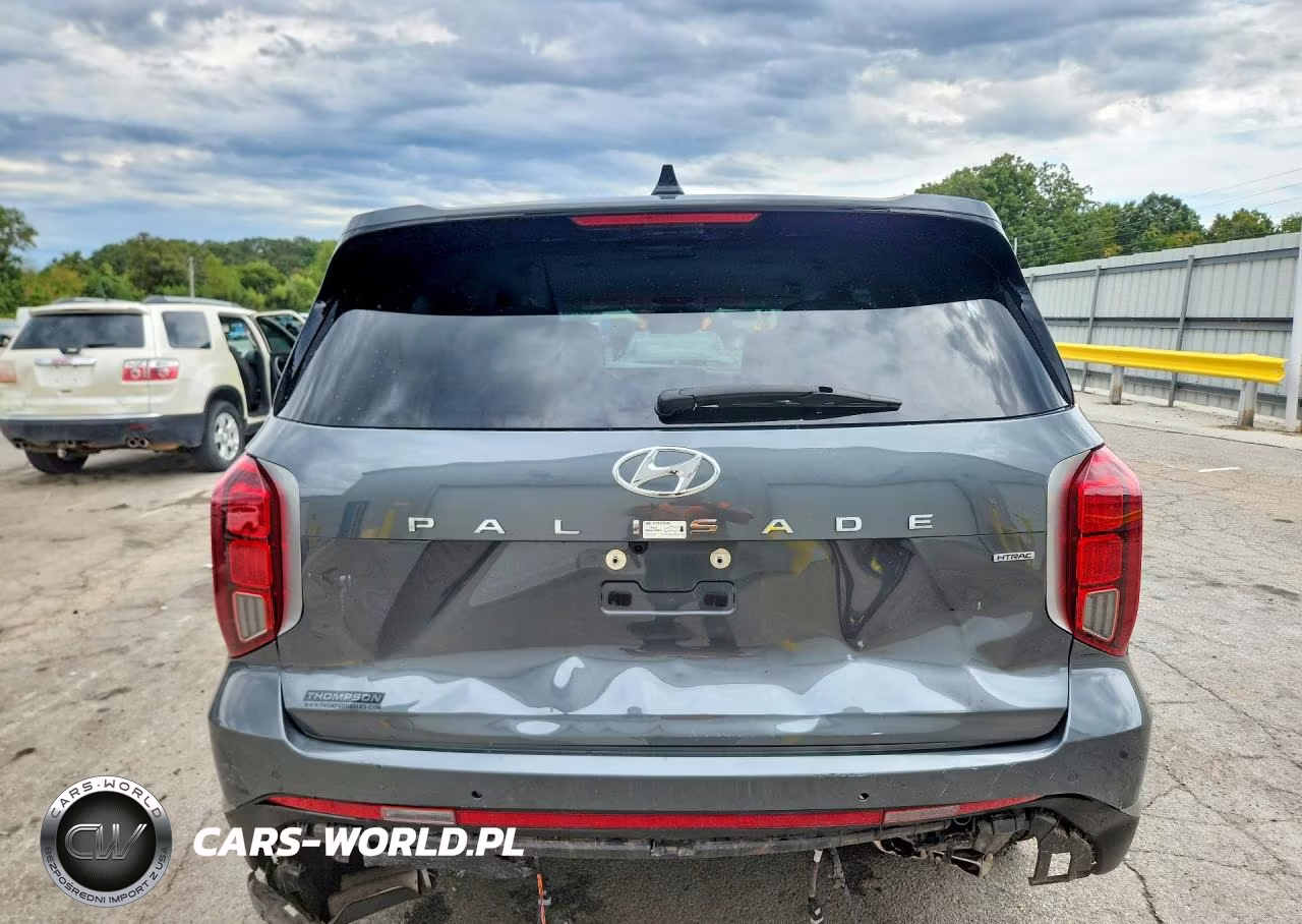 2025 Hyundai Palisade Sel VIN:KM8R2DGE9SU846046 - 6
