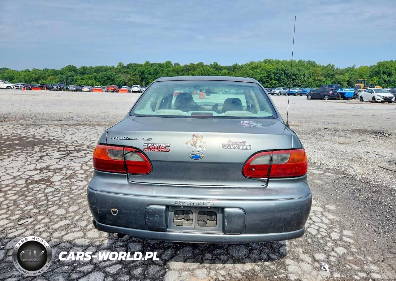 2003 Chevrolet Malibu Ls VIN:1G1NE52J93M562494 - 6
