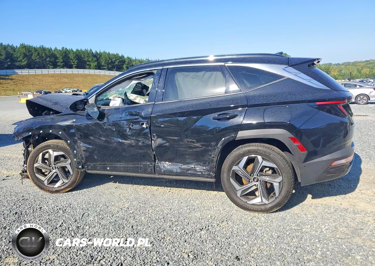 2022 Hyundai Tucson Limited VIN:5NMJECAE0NH111821 - 2