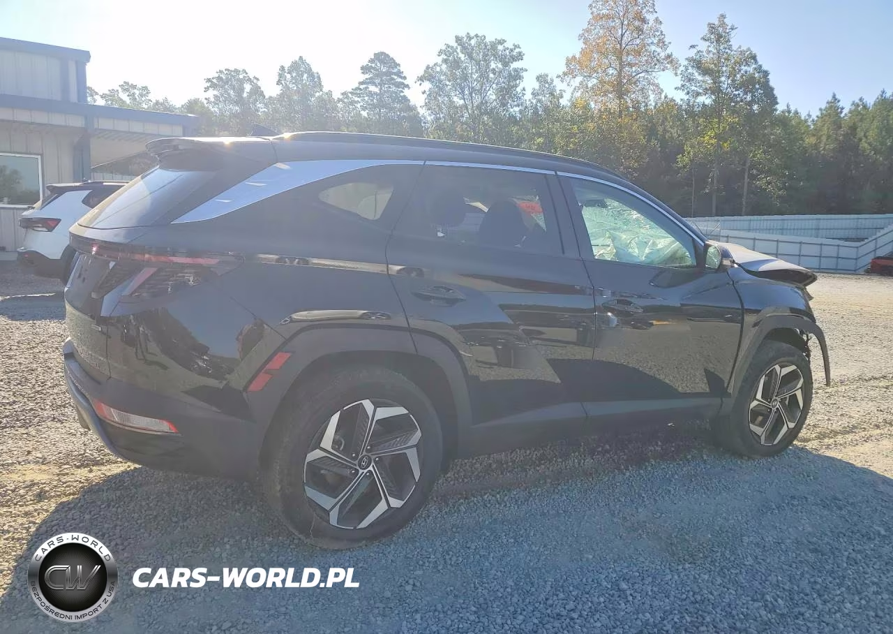 2022 Hyundai Tucson Limited VIN:5NMJECAE0NH111821 - 3