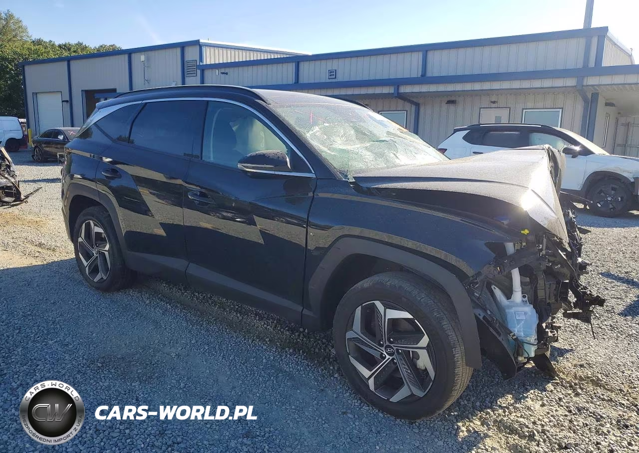 2022 Hyundai Tucson Limited VIN:5NMJECAE0NH111821 - 4