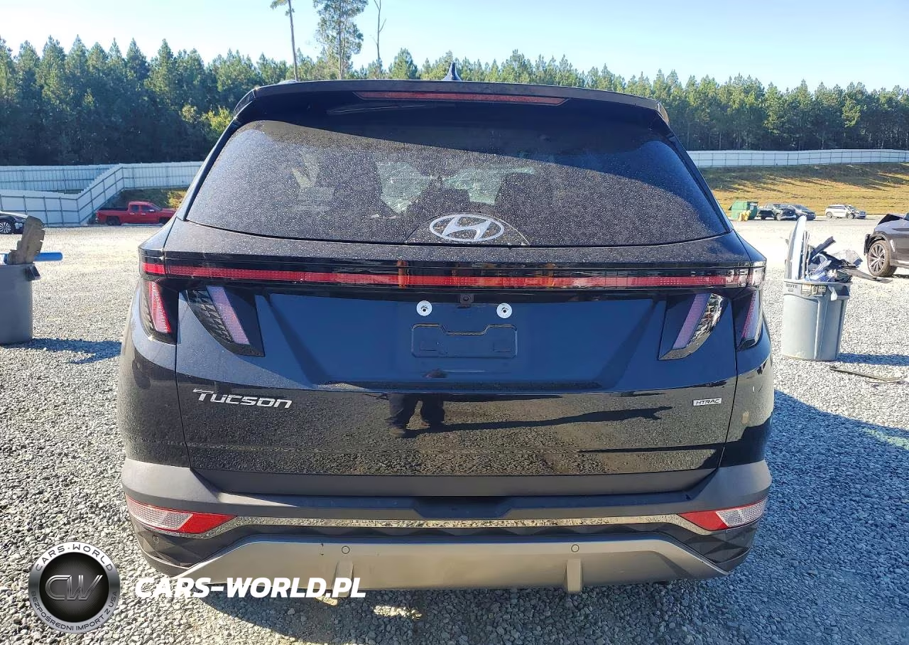 2022 Hyundai Tucson Limited VIN:5NMJECAE0NH111821 - 6