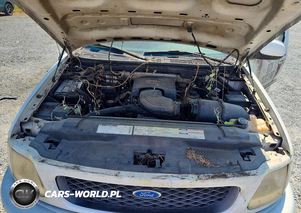 1997 Ford F150 VIN:1FTEX18L4VNB87808 - 11