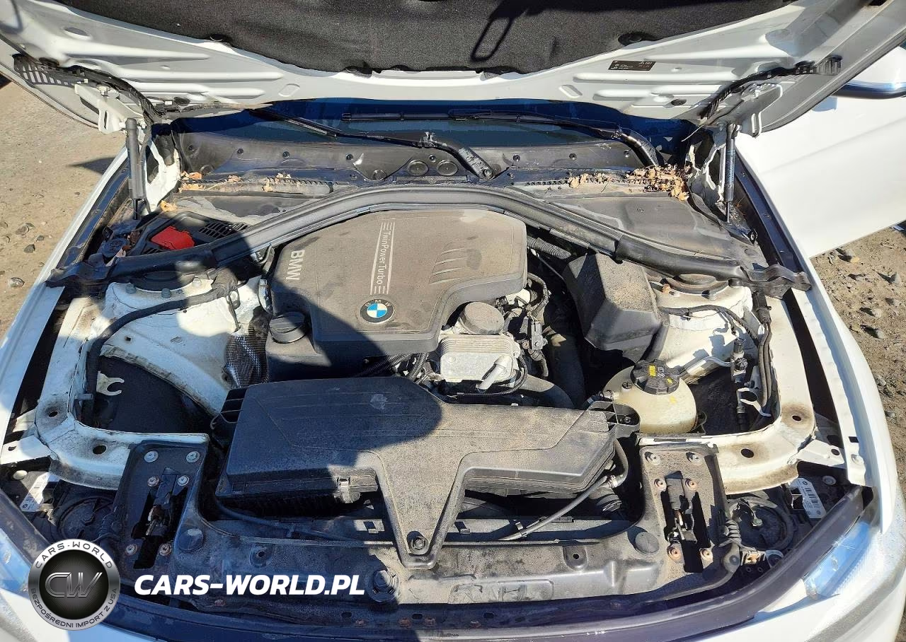 2016 BMW 320 Xi VIN:WBA8E5G59GNT95034 - 11