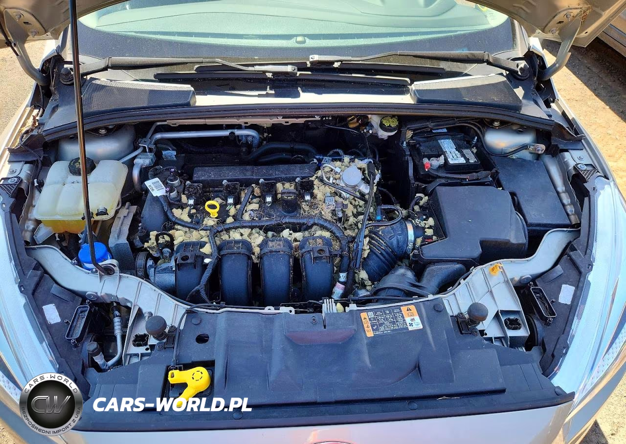 2016 Ford Focus Se VIN:1FADP3F20GL308615 - 11