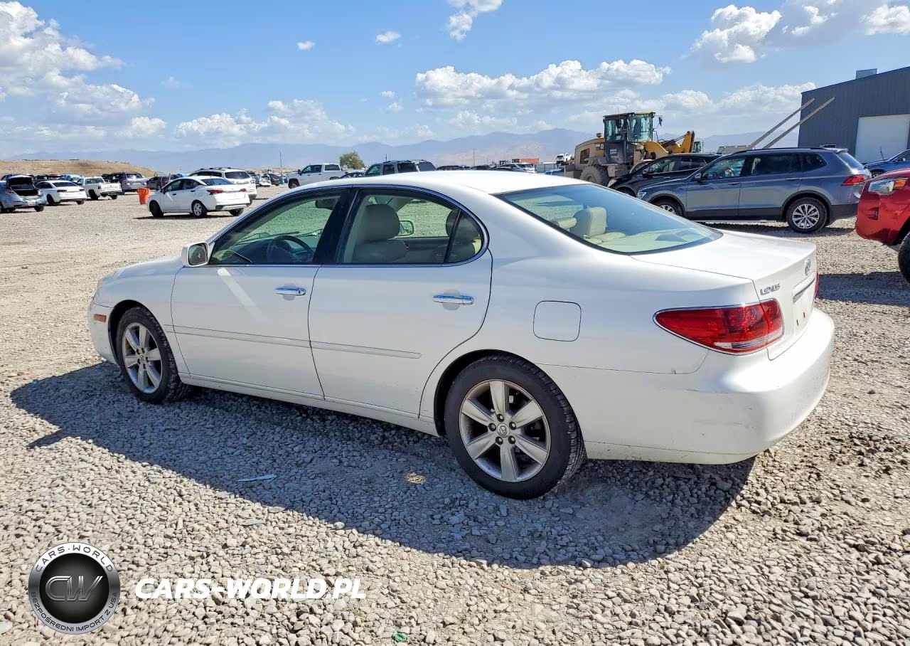 2005 Lexus Es 330 VIN:JTHBA30G355130920 - 2