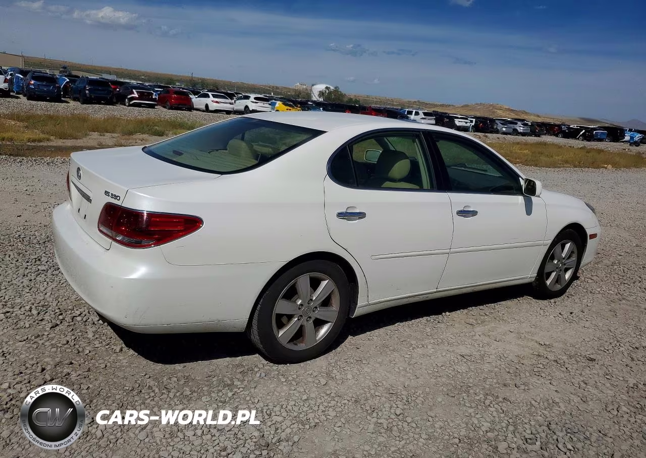 2005 Lexus Es 330 VIN:JTHBA30G355130920 - 3