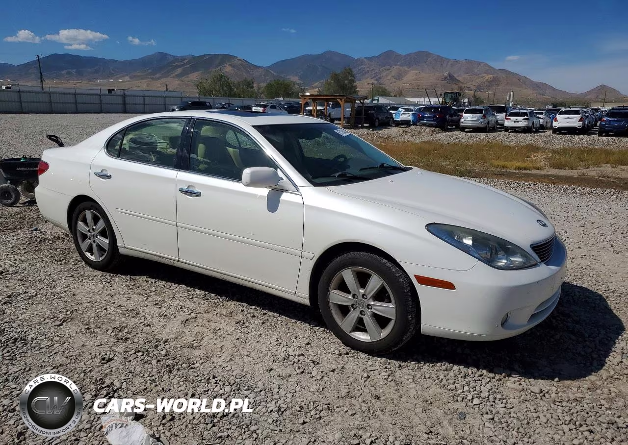 2005 Lexus Es 330 VIN:JTHBA30G355130920 - 4