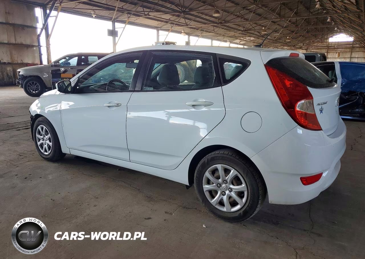 2014 Hyundai Accent Gs VIN:KMHCT5AEXEU161642 - 2