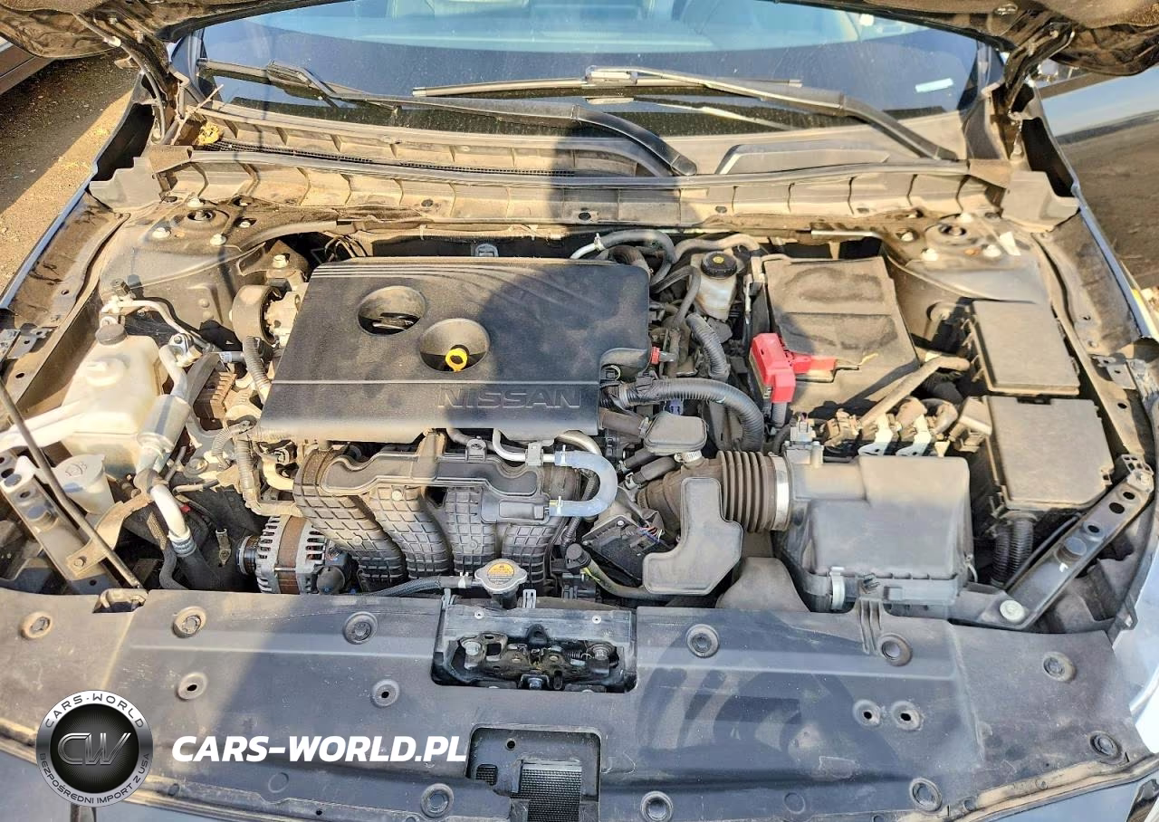 2019 Nissan Altima Platinum VIN:1N4BL4FW5KN300129 - 11
