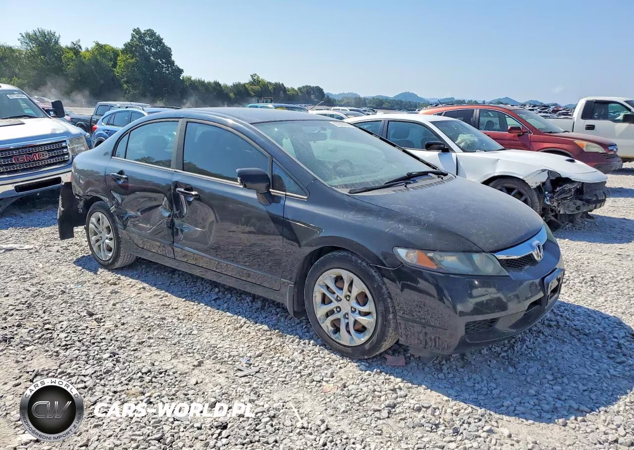 2009 Honda Civic Lx VIN:1HGFA165X9L004134 - 4