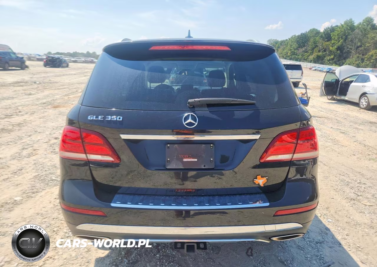 2017 Mercedes-Benz Gle 350 VIN:4JGDA5JB6HA871725 - 6