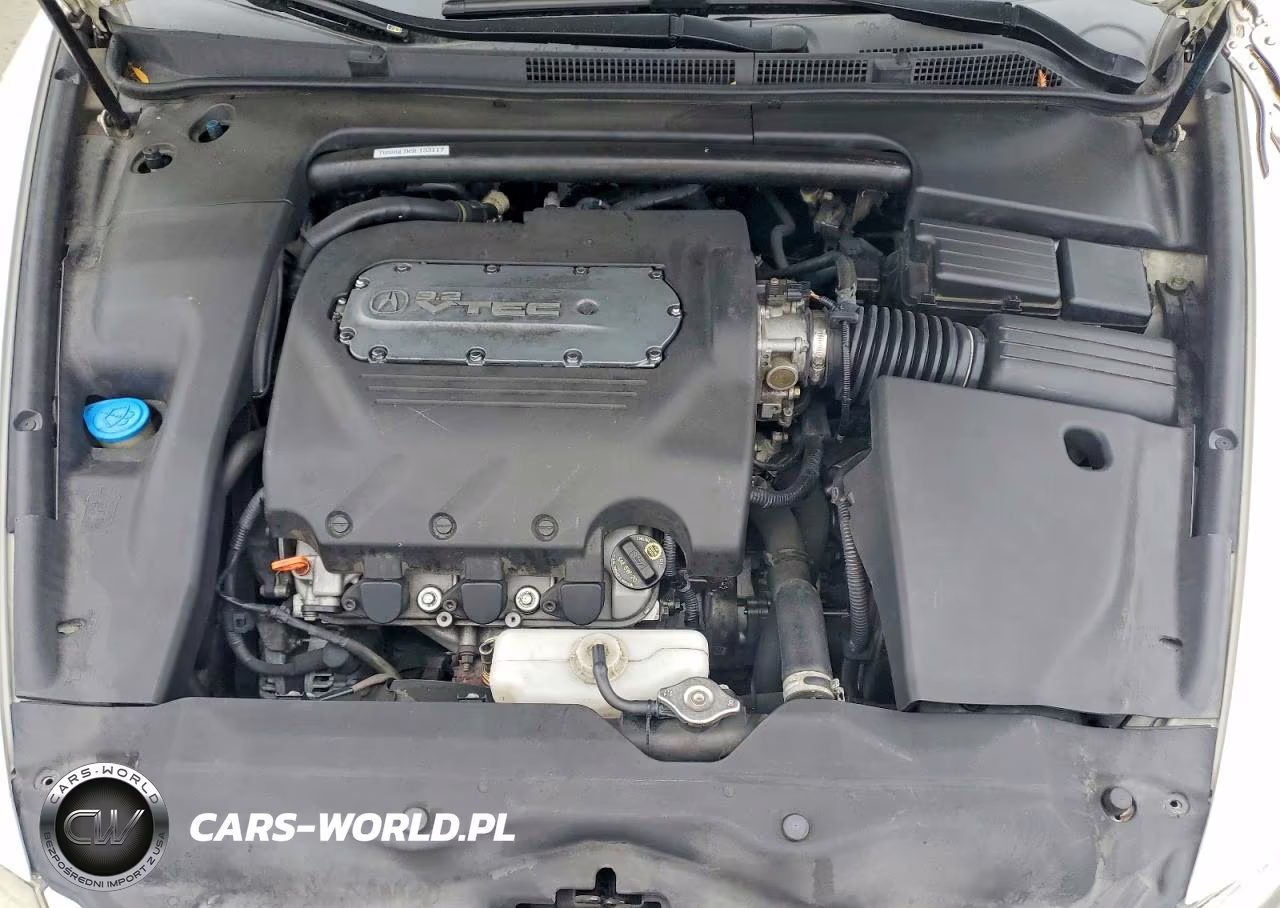2006 Acura 3.2Tl VIN:19UUA66296A014008 - 11